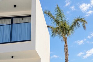Ein modernes Gebäude mit großen Fenstern und einer Palme im Vordergrund.