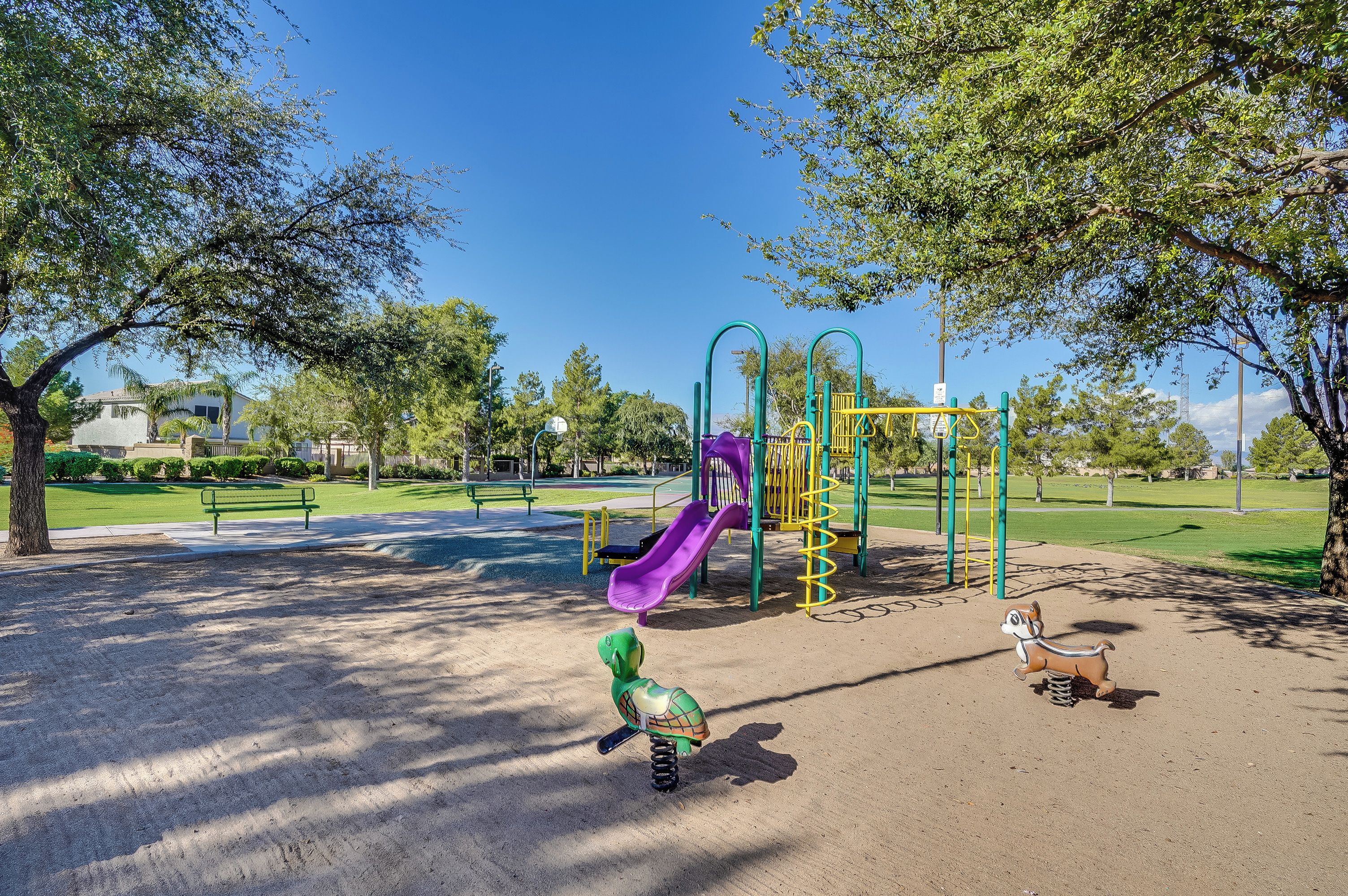 A playground with a slide, swings, and a spring rider.