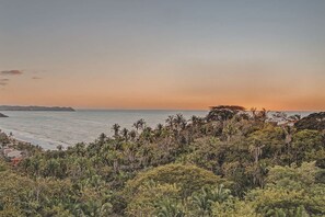 A coastal landscape with dense vegetation and a view of the sea. - Villa Catalina: San Pancho 5BR Estate w/ Pool, Ocean Views, Sleeps 10 (San Francisco)