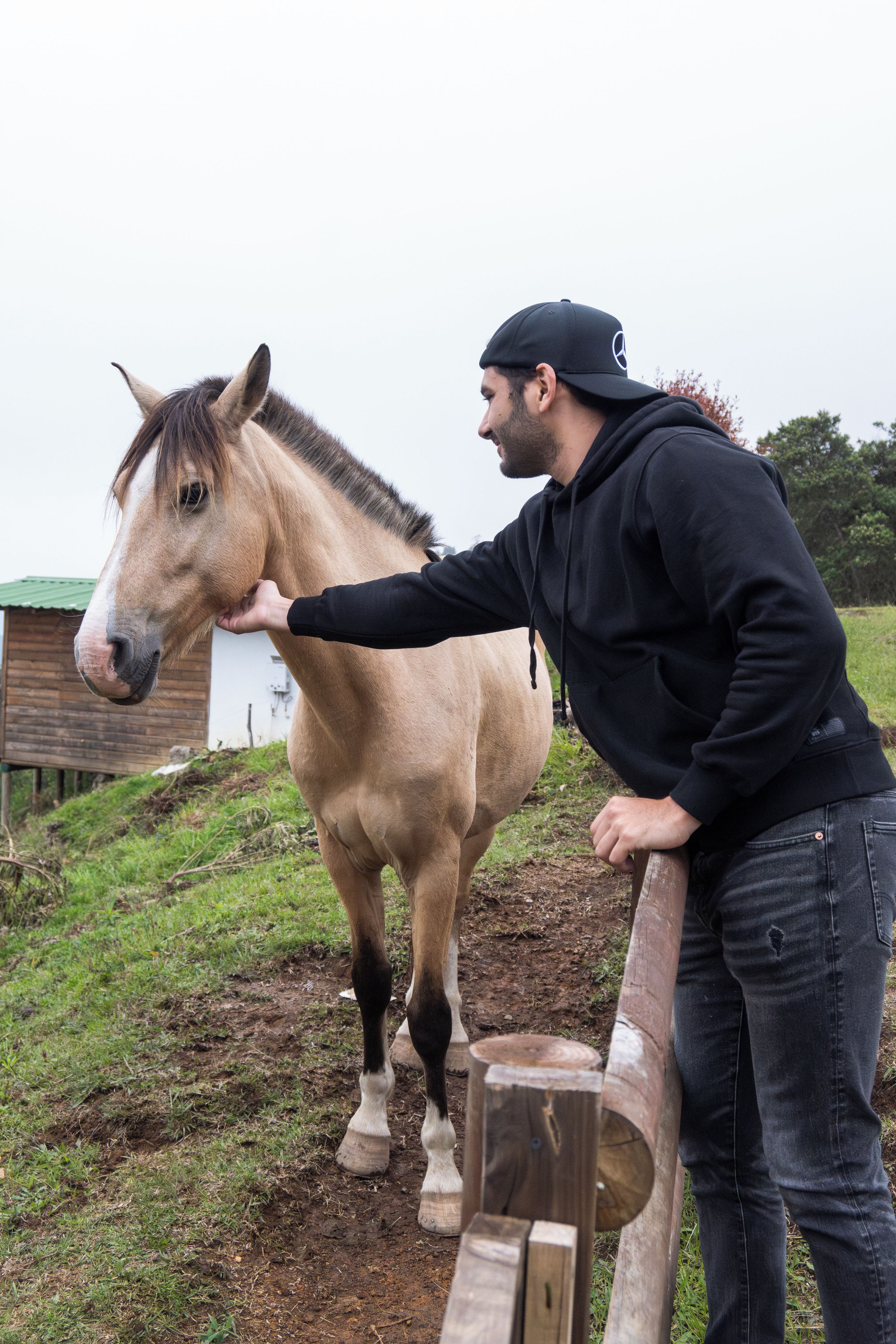 A person interacting with a horse in an outdoor setting.