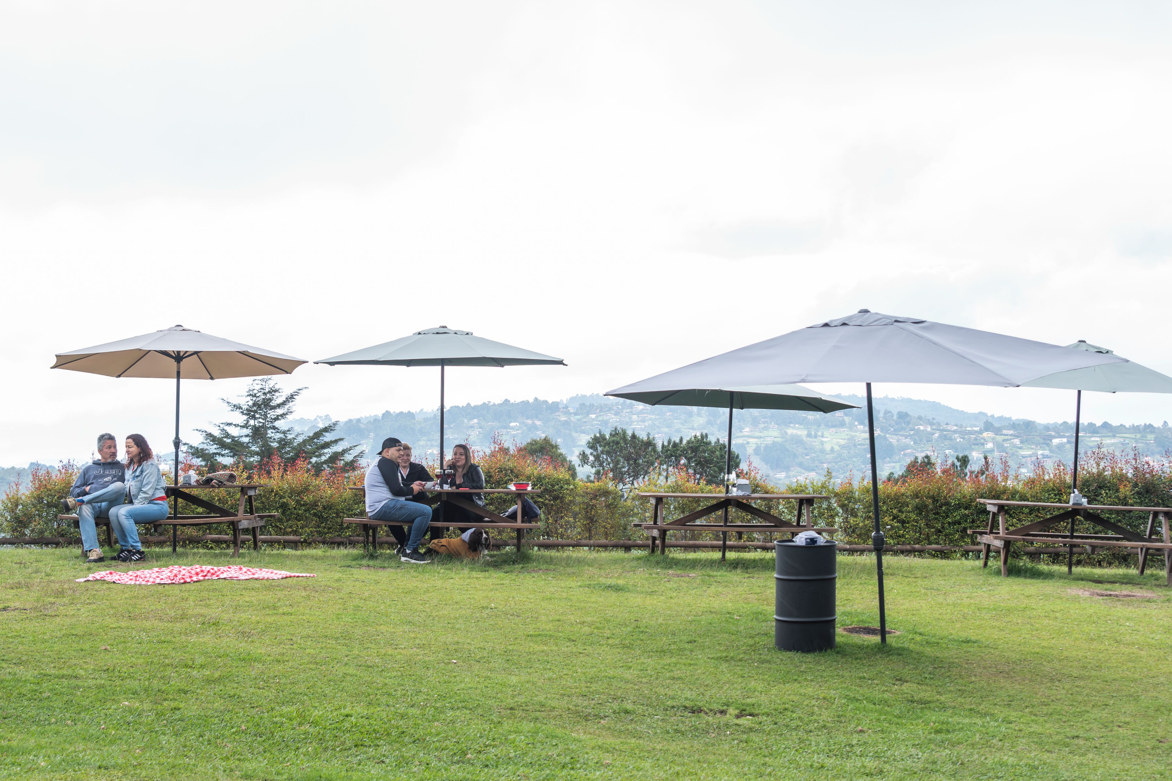 Un espacio al aire libre con césped, mesas de picnic y sombrillas, rodeado de árboles y vistas a colinas distantes.