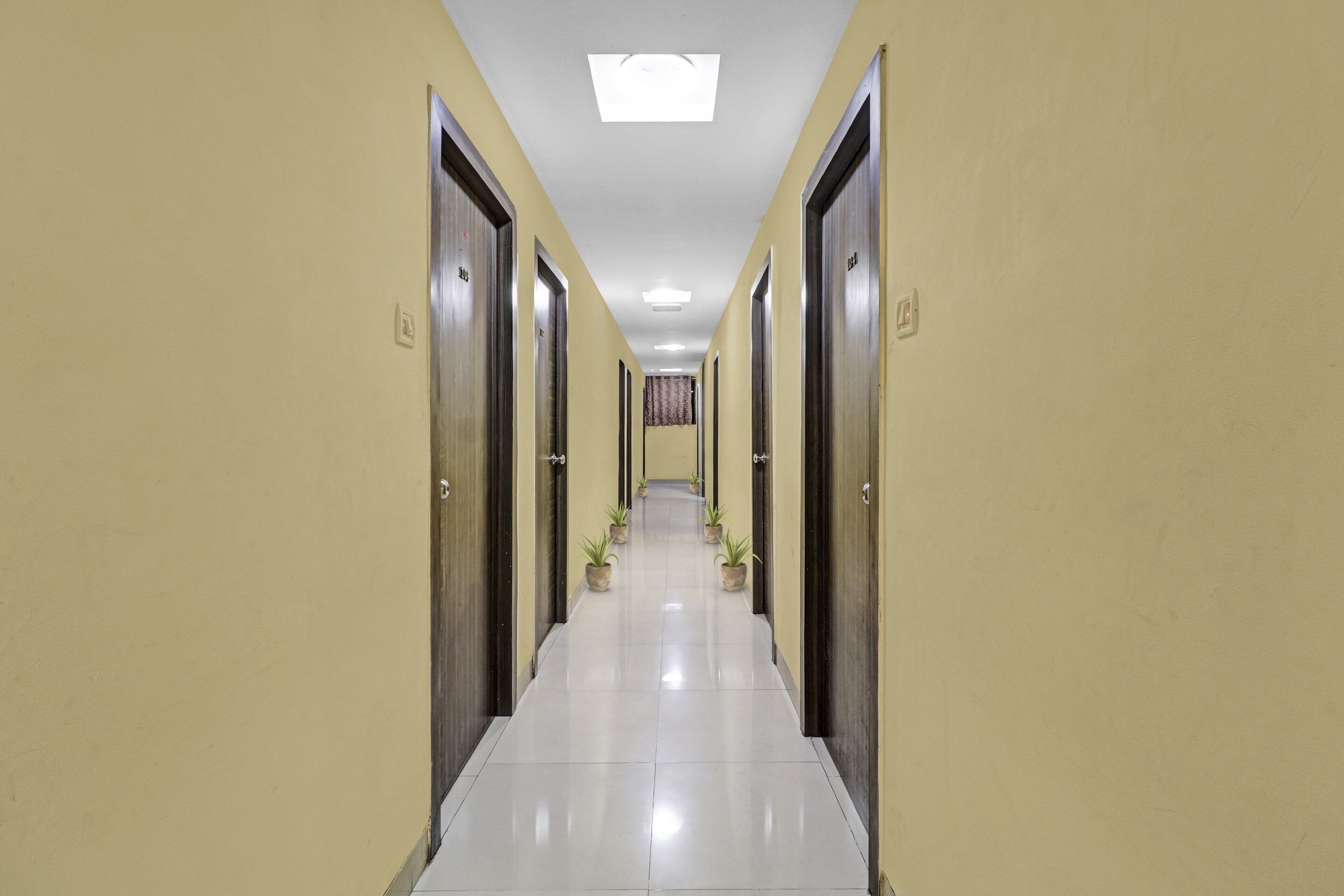 A hotel corridor with doors on both sides, a tiled floor, and potted plants along the walkway.