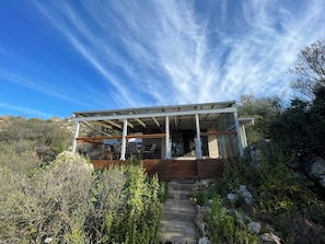 A modern house with a covered porch, stone steps, and surrounding vegetation.