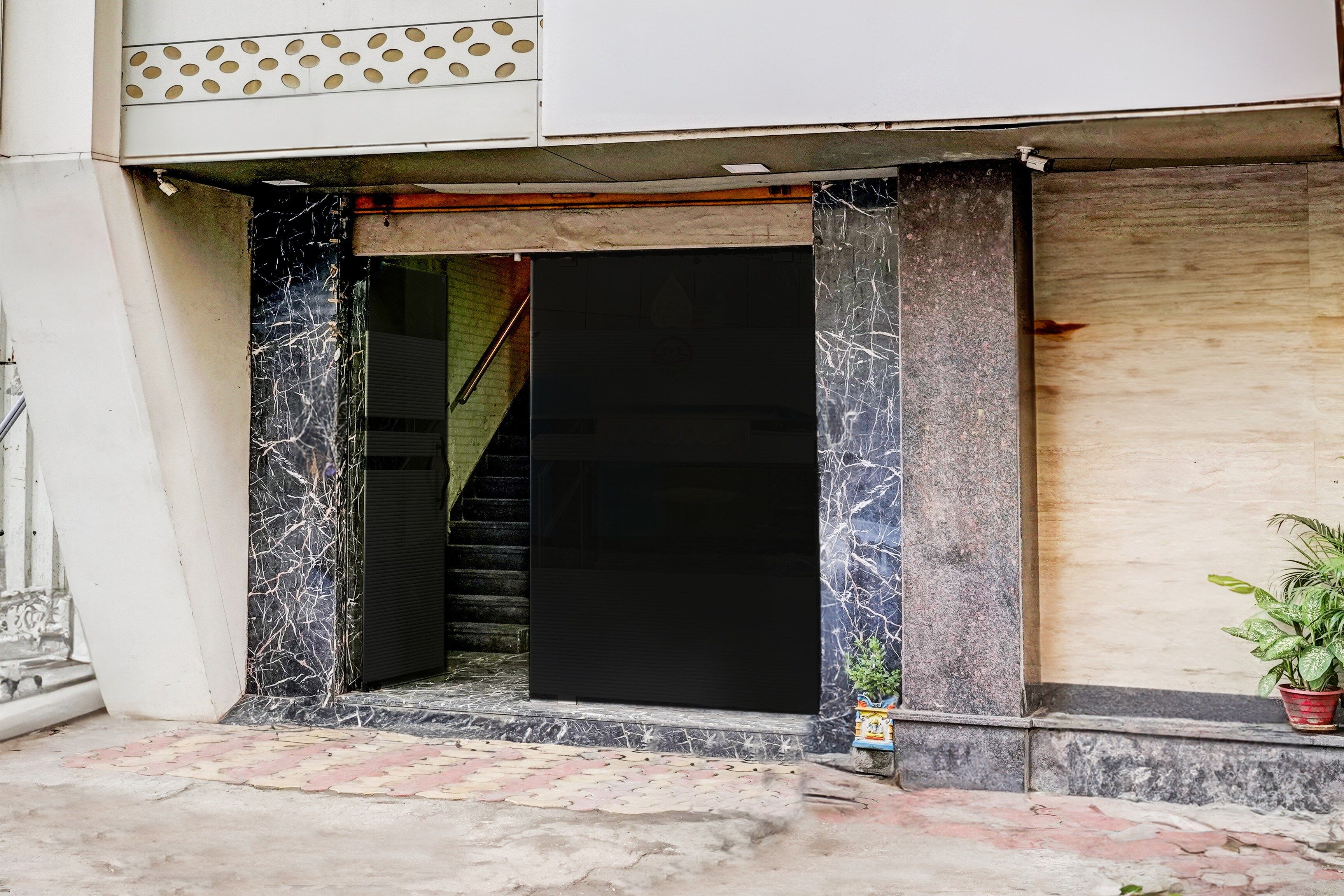 Une entrée d’immeuble avec une porte noire, un escalier menant à l’intérieur et une petite plante en pot placée à droite.