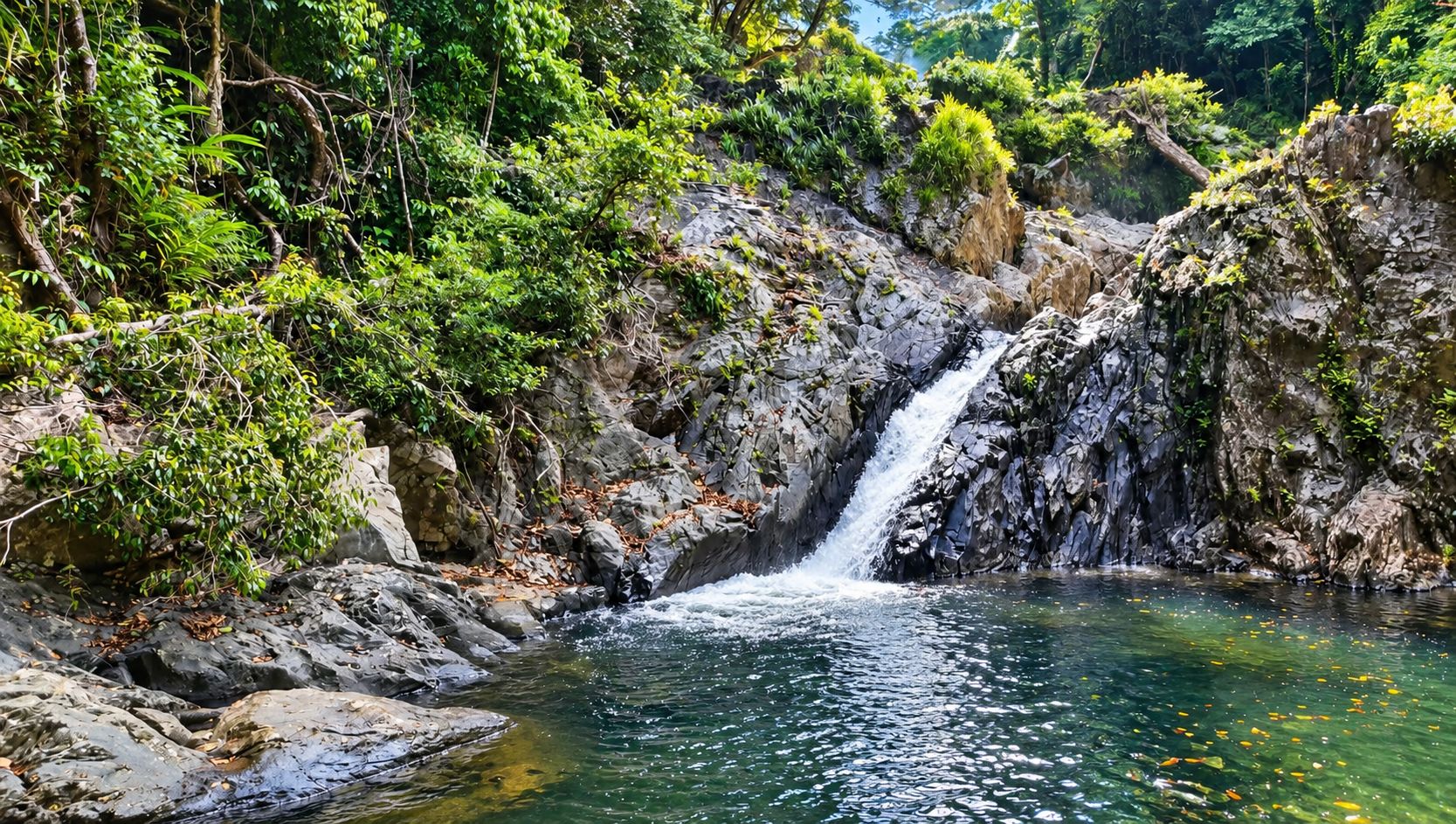 Une cascade naturelle située dans une zone boisée, avec de l’eau claire et une végétation luxuriante tout autour.