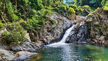 Une cascade naturelle située dans une zone boisée, avec de l’eau claire et une végétation luxuriante tout autour.
