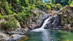 Une cascade naturelle située dans une zone boisée, avec de l’eau claire et une végétation luxuriante tout autour.