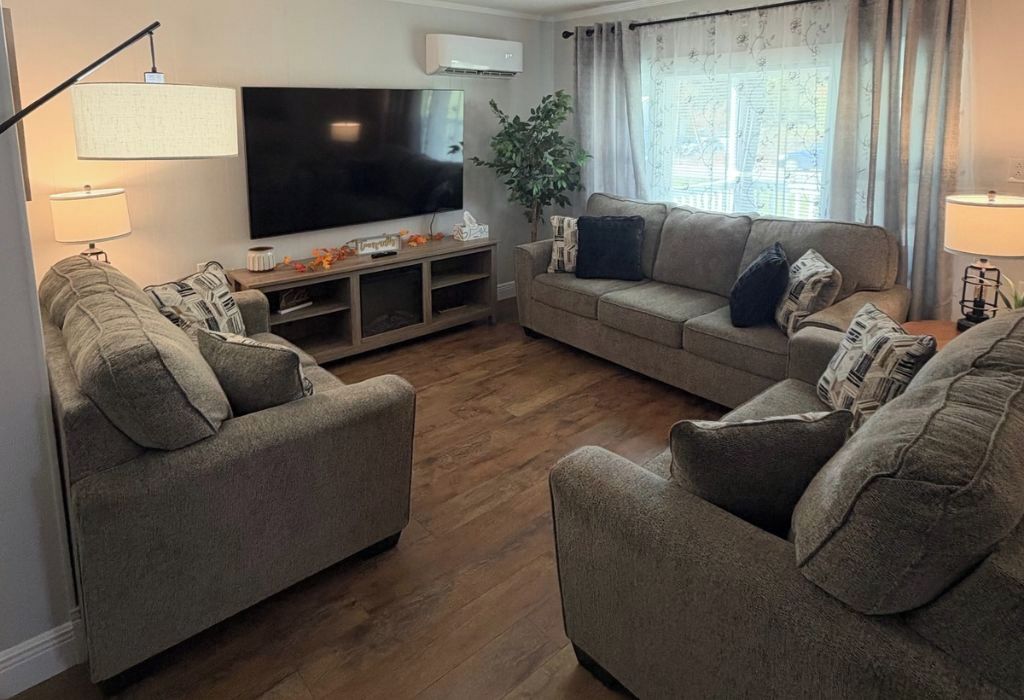 Ein Wohnzimmer mit zwei Sofas, einem Flachbildfernseher und einer Pflanze.
