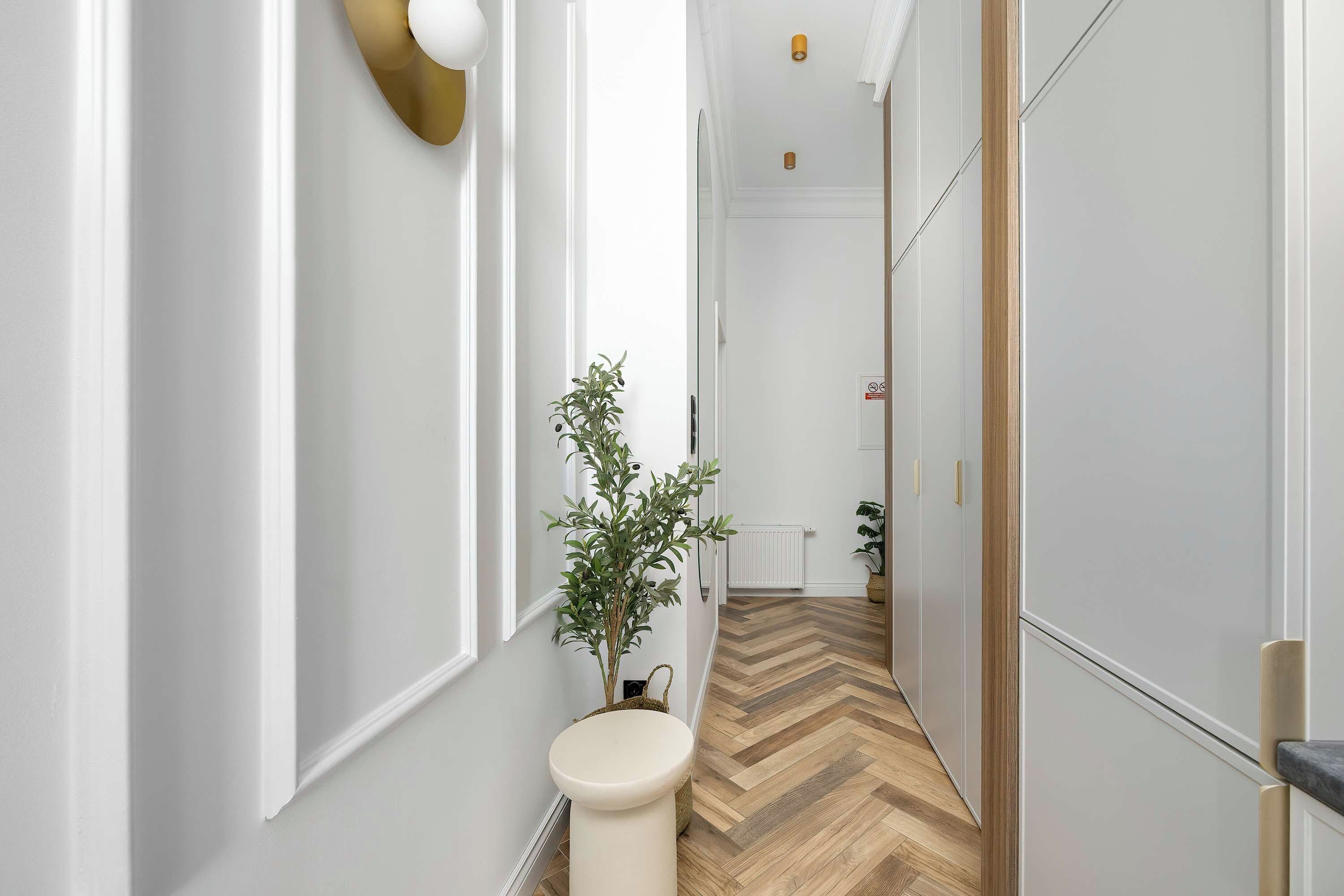 Bright hallway with white walls, wood-effect flooring and a potted plant.