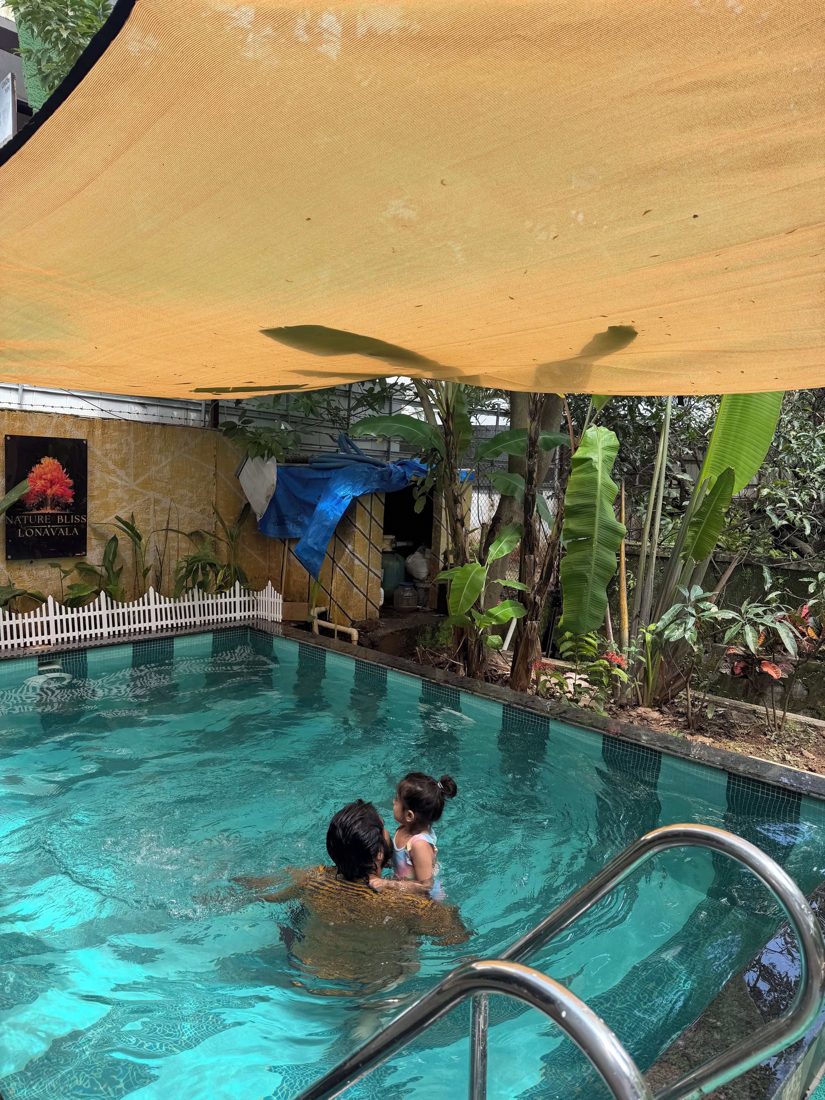 Une piscine à l’eau claire, entourée de plantes tropicales et dotée d’un espace ombragé.