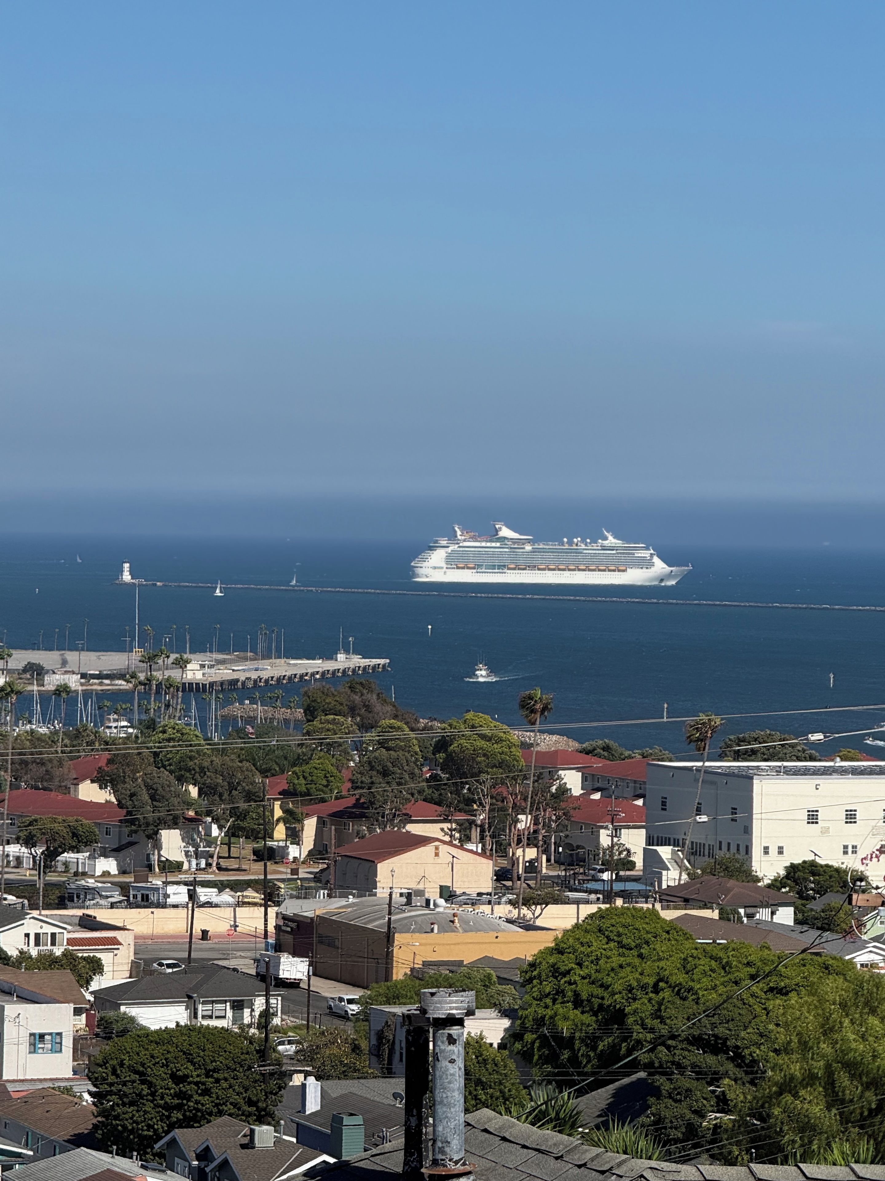 A coastal cityscape with a cruise ship in the distance, residential buildings, and a marina with boats.