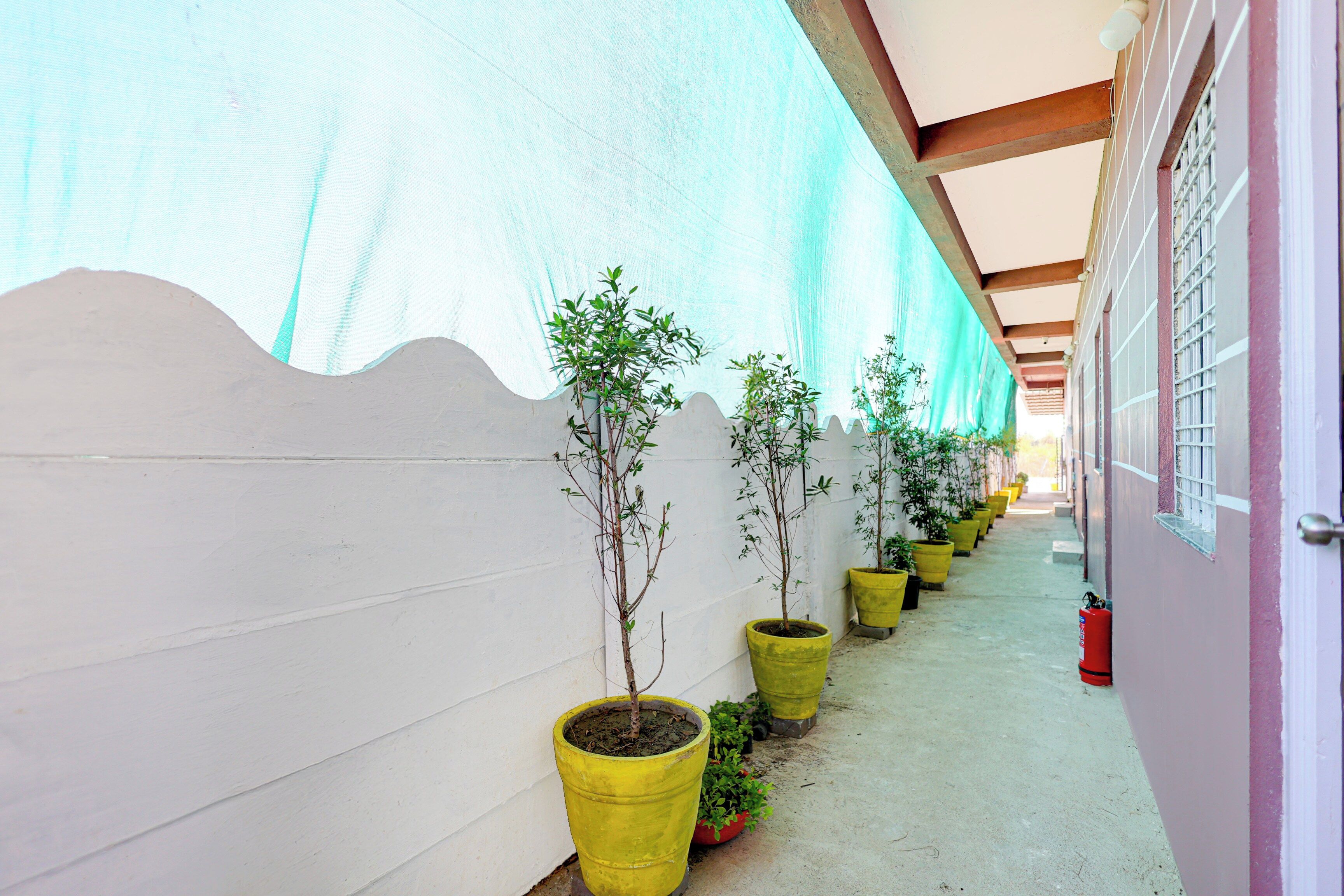 Un couloir extérieur abrité, agrémenté de plantes en pot et équipé d’un extincteur.