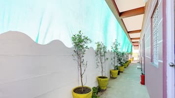 Un couloir extérieur abrité, agrémenté de plantes en pot et équipé d’un extincteur.