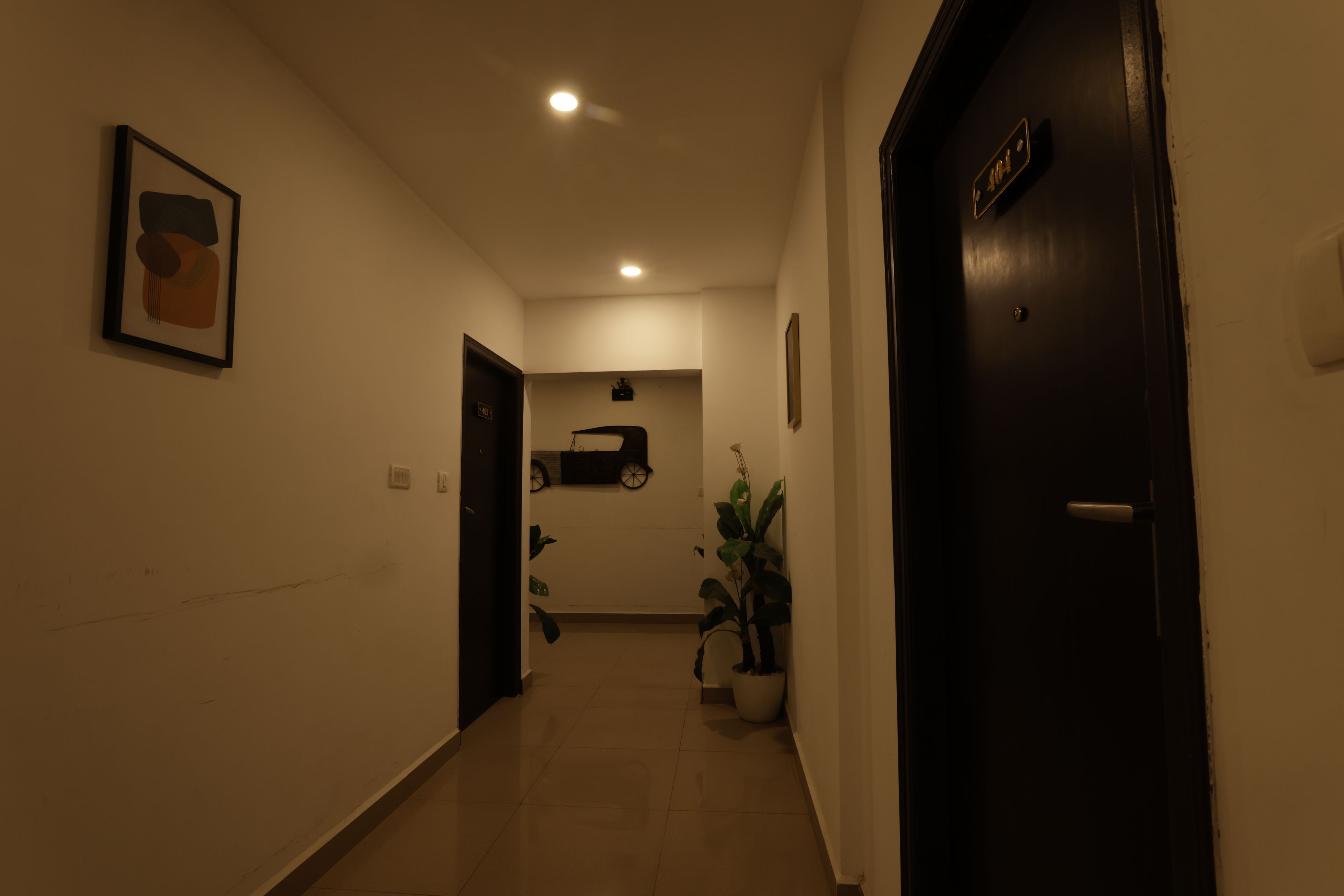 A hallway with a door on the right, a framed picture on the left, and a plant in the center.