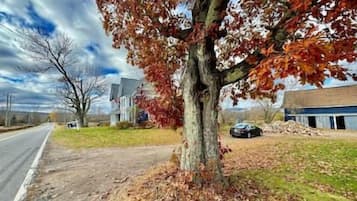 Une rue bordée d’arbres, avec un immeuble et une voiture garée.