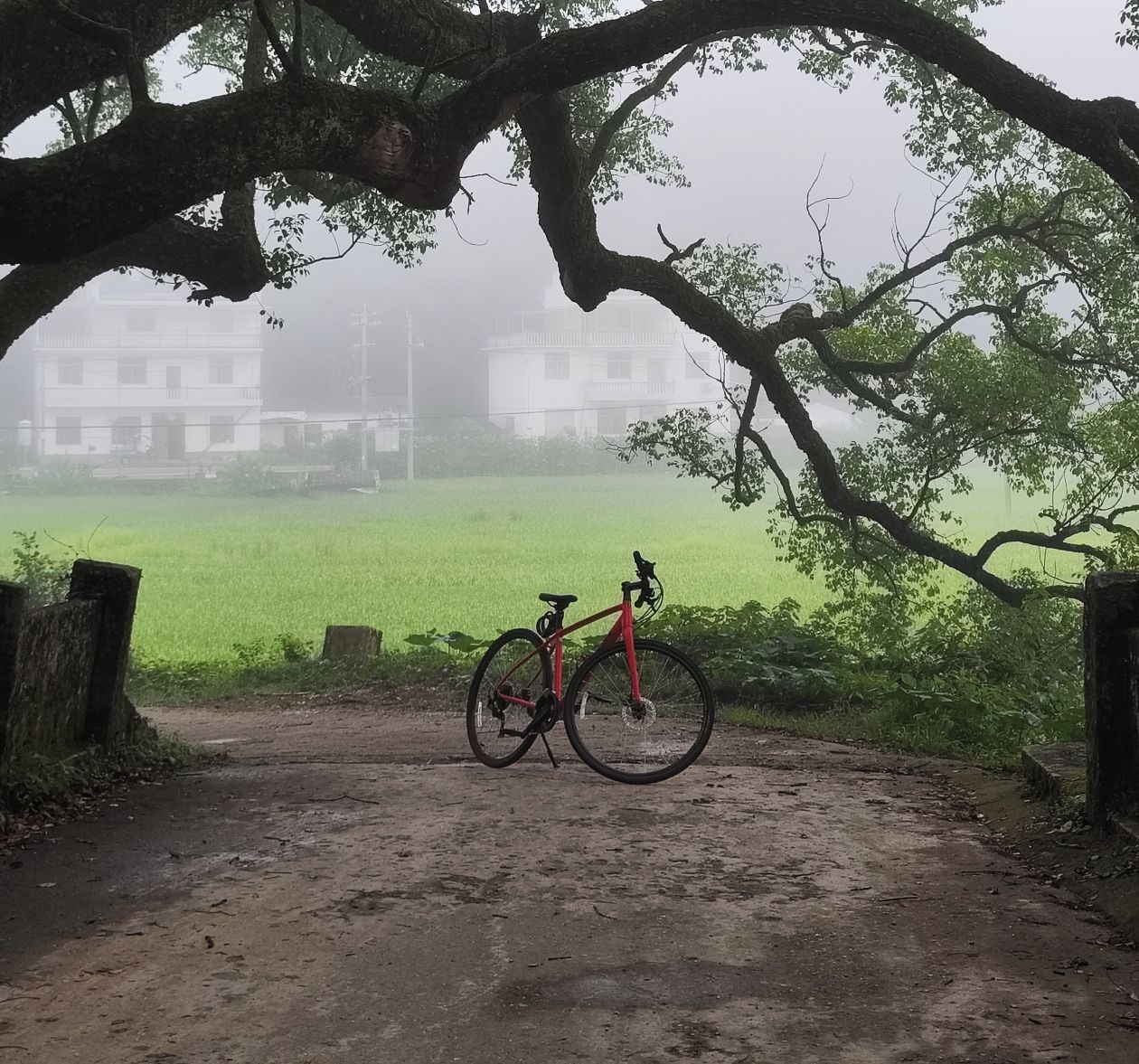 Ciclismo