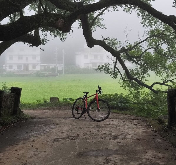 Una bicicleta estacionada bajo un árbol en un entorno rural con atmósfera brumosa.