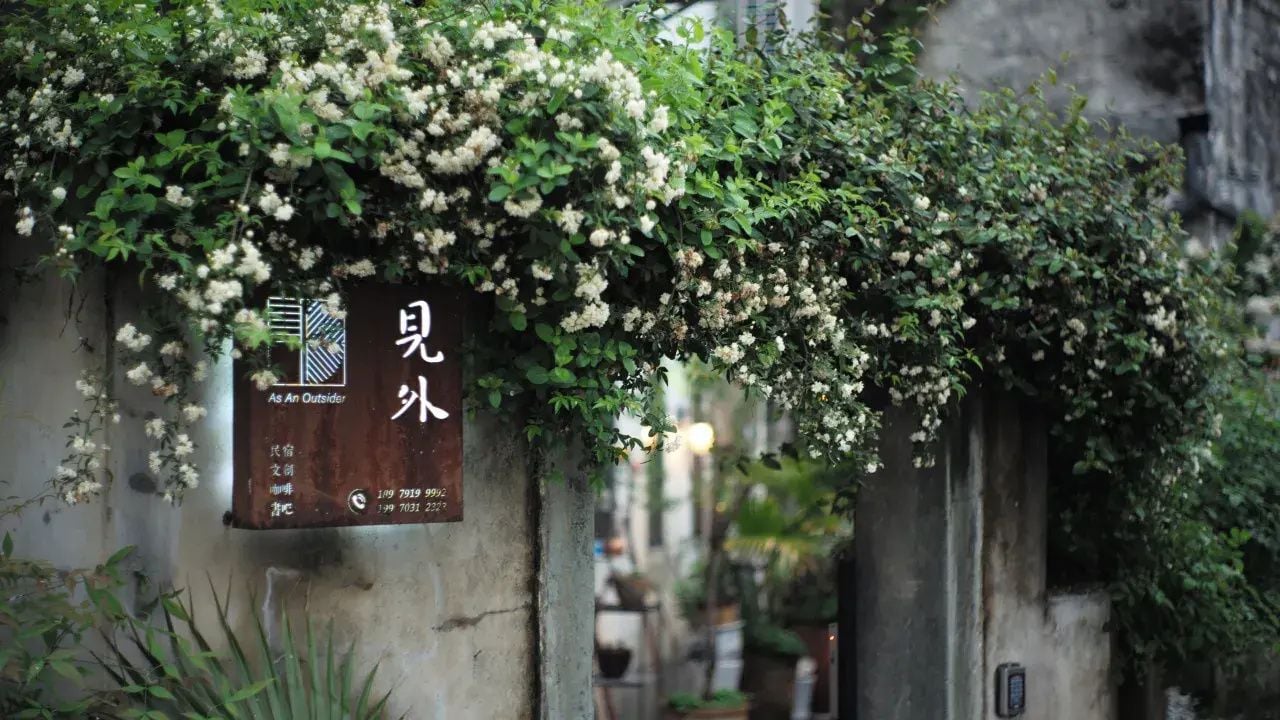 Un letrero con caracteres chinos y un logotipo, sujeto a una pared cubierta de plantas trepadoras.