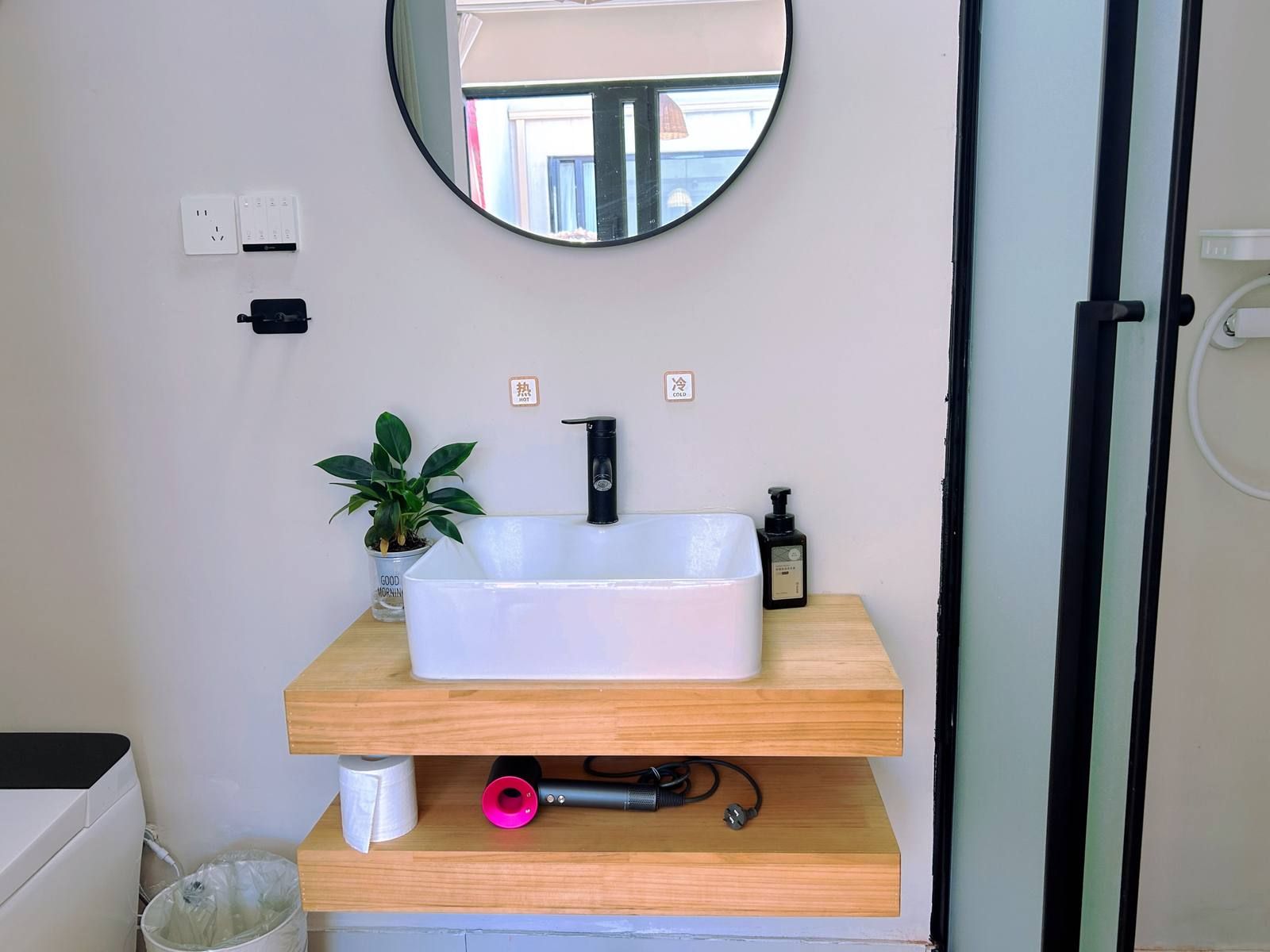 Un baño con un lavamanos blanco, un espejo, una planta en maceta, un dispensador de jabón y un rollo de papel higiénico.