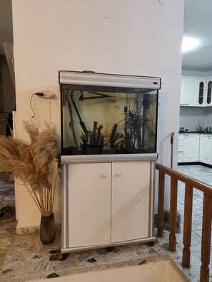 A white cabinet with a fish tank on top, a vase with dried plants, and a wooden railing. - privet house near Jerusalem (Bet Shemesh)