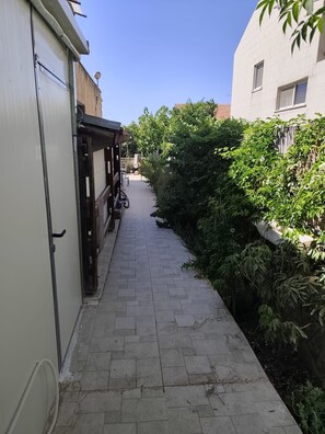 A narrow paved pathway flanked by buildings and dense greenery.