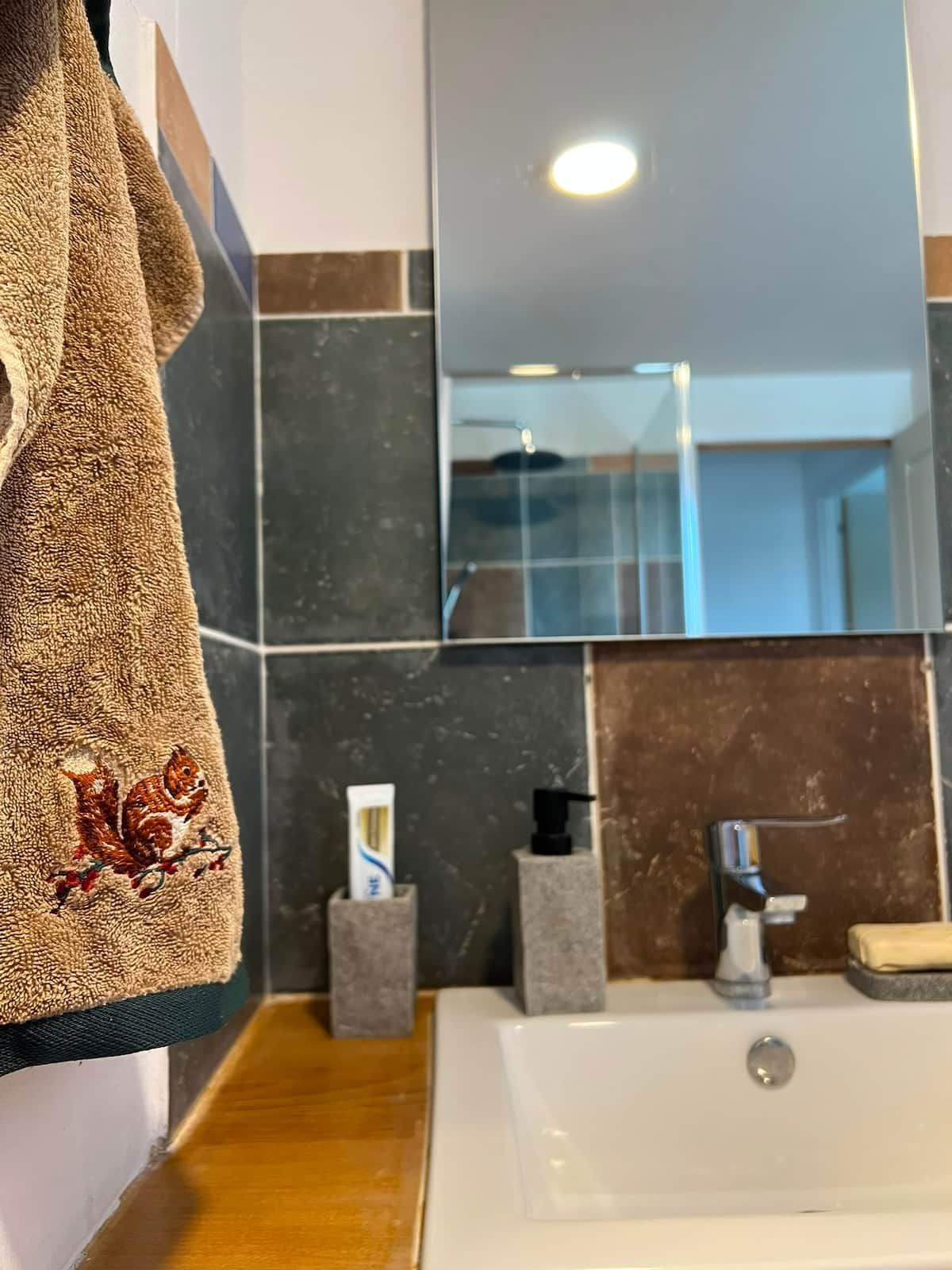 Ein Badezimmer mit einem Handtuch an der Wand, einem Spiegel, einem Waschbecken und Pflegeprodukten.
