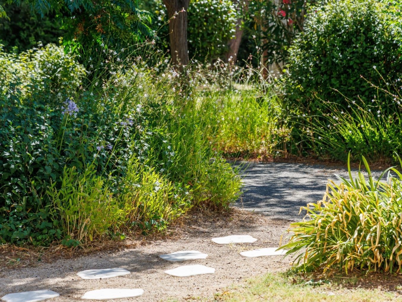 Un sentier de jardin, ponctué de pierres plates, qui serpente à travers une végétation luxuriante.