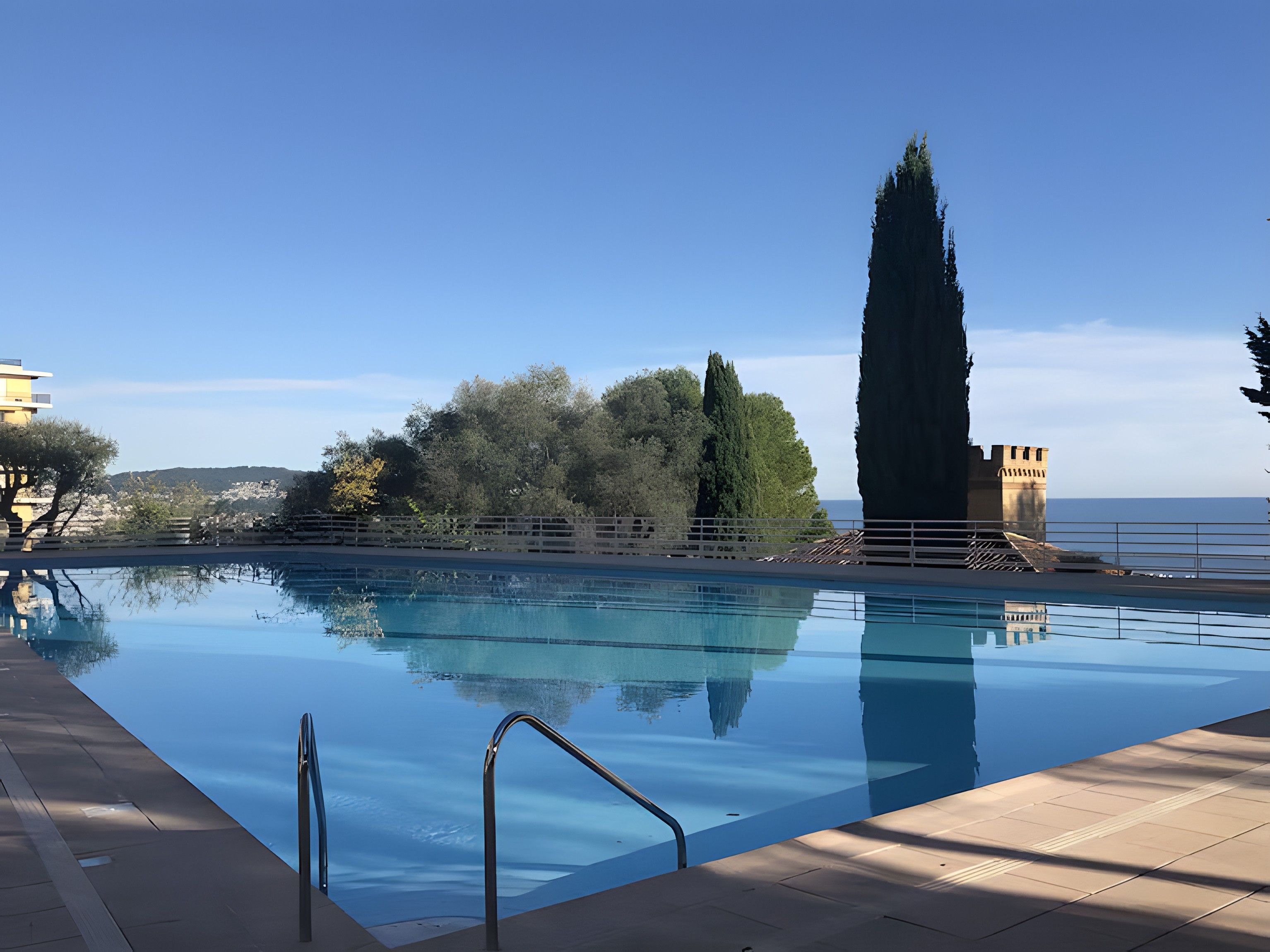 A swimming pool with a clear view of the sea and a tall tree in the background.