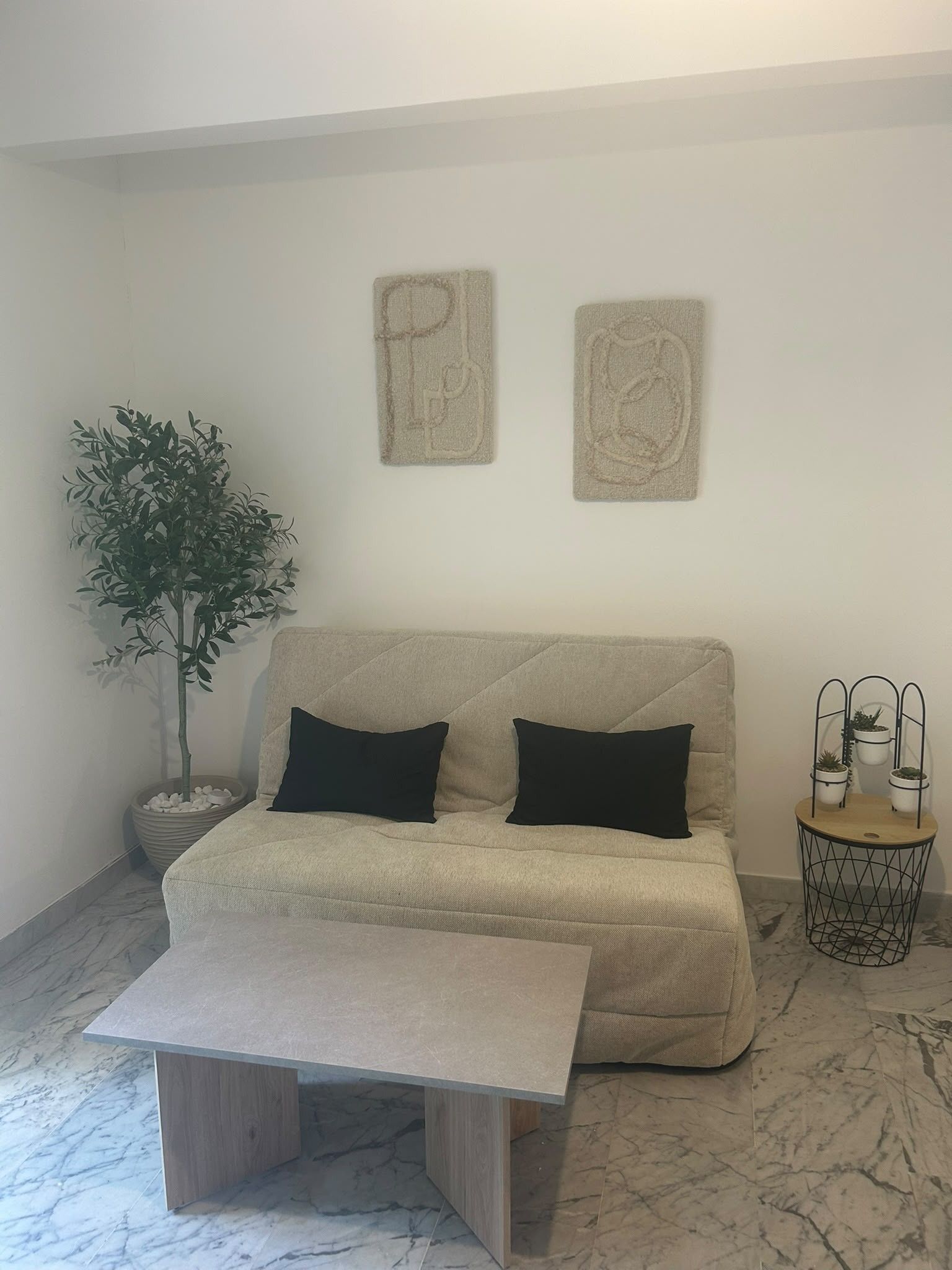 A living room with a sofa, two black cushions, a coffee table, a potted plant, and a small side table with a plant.