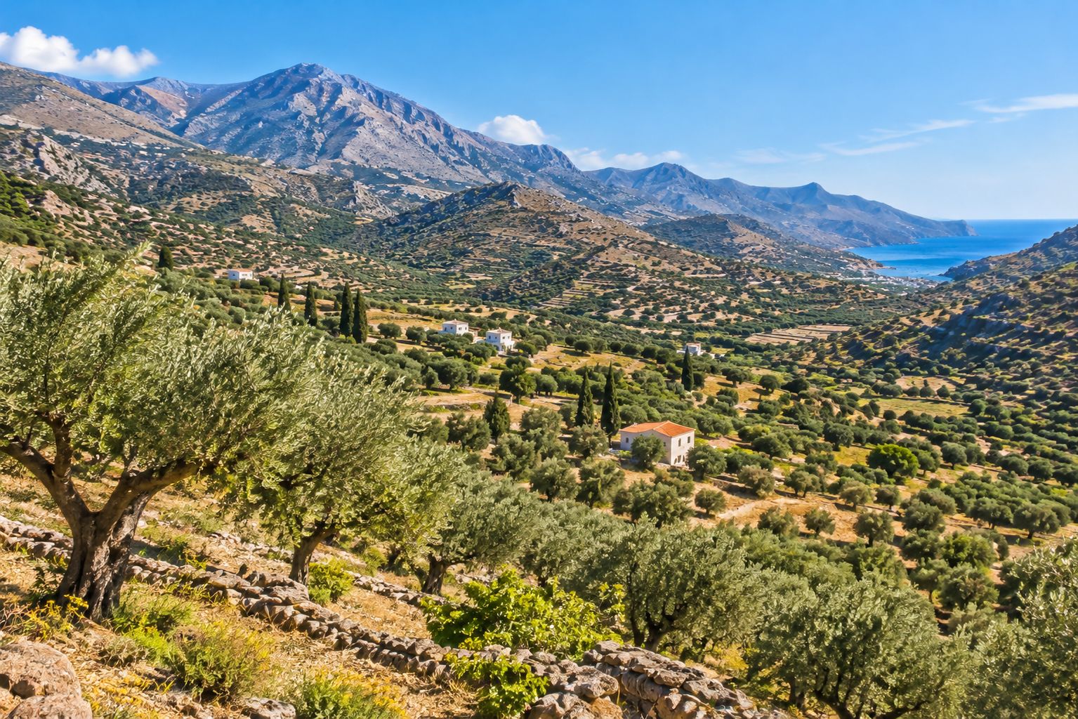 Paesaggio montuoso con uliveti, edifici sparsi e vista aperta sul mare.