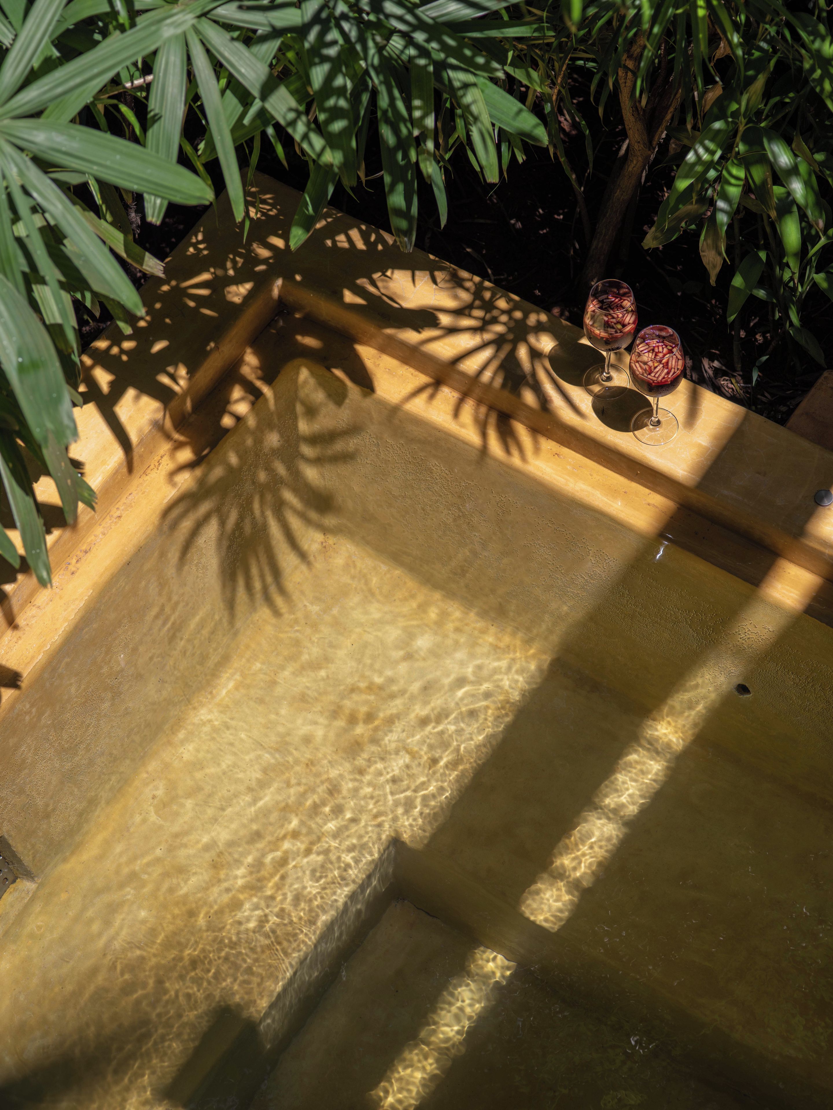 A clear outdoor pool with a wooden edge, surrounded by lush greenery.