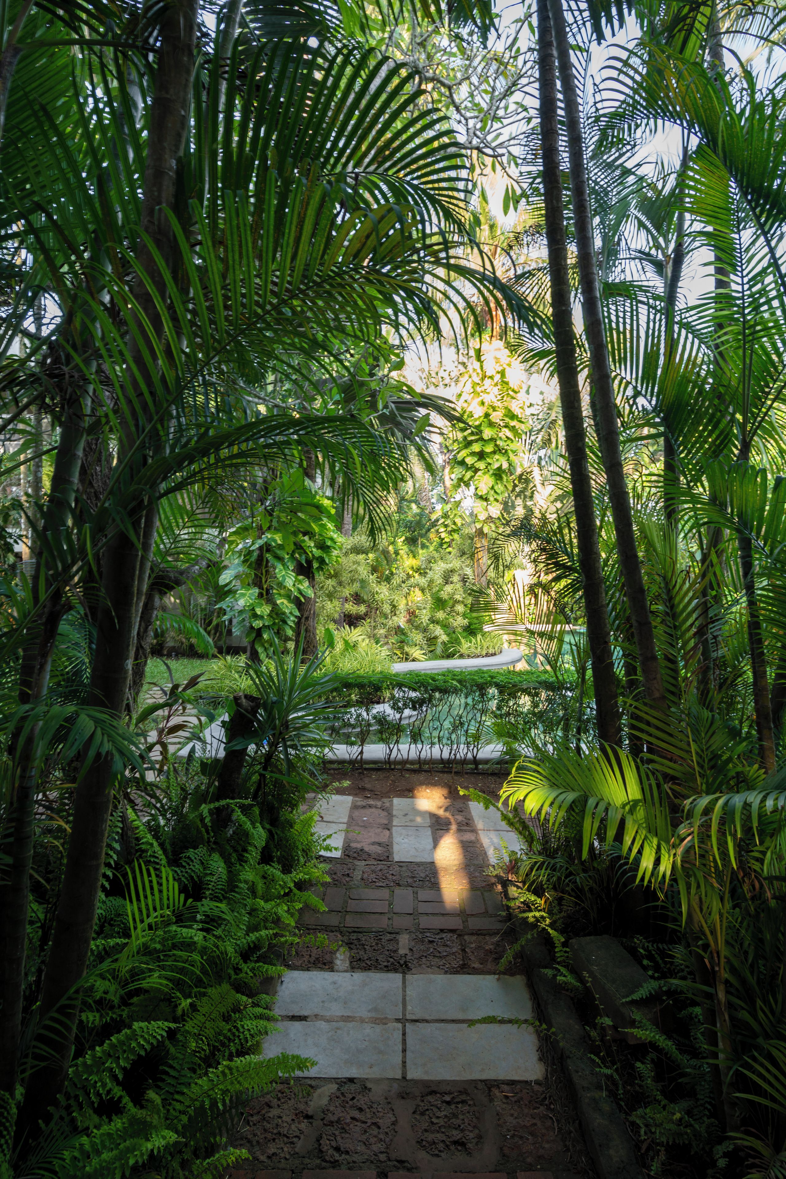 Caminho de pedra serpenteando por um jardim exuberante com diversas plantas e árvores tropicais.