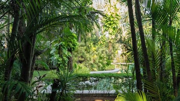 Caminho de pedra serpenteando por um jardim exuberante com diversas plantas e árvores tropicais.