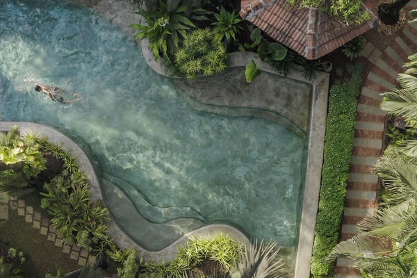 Piscine naturelle