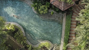 Vista aérea de una piscina rodeada de exuberante vegetación y una estructura con techo de tejas.