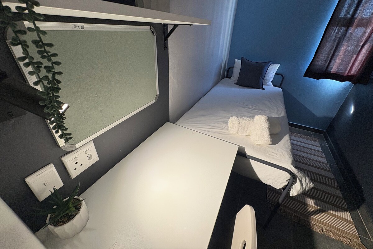 A compact hotel room with a single bed, a small desk, a potted plant, and a window with curtains.