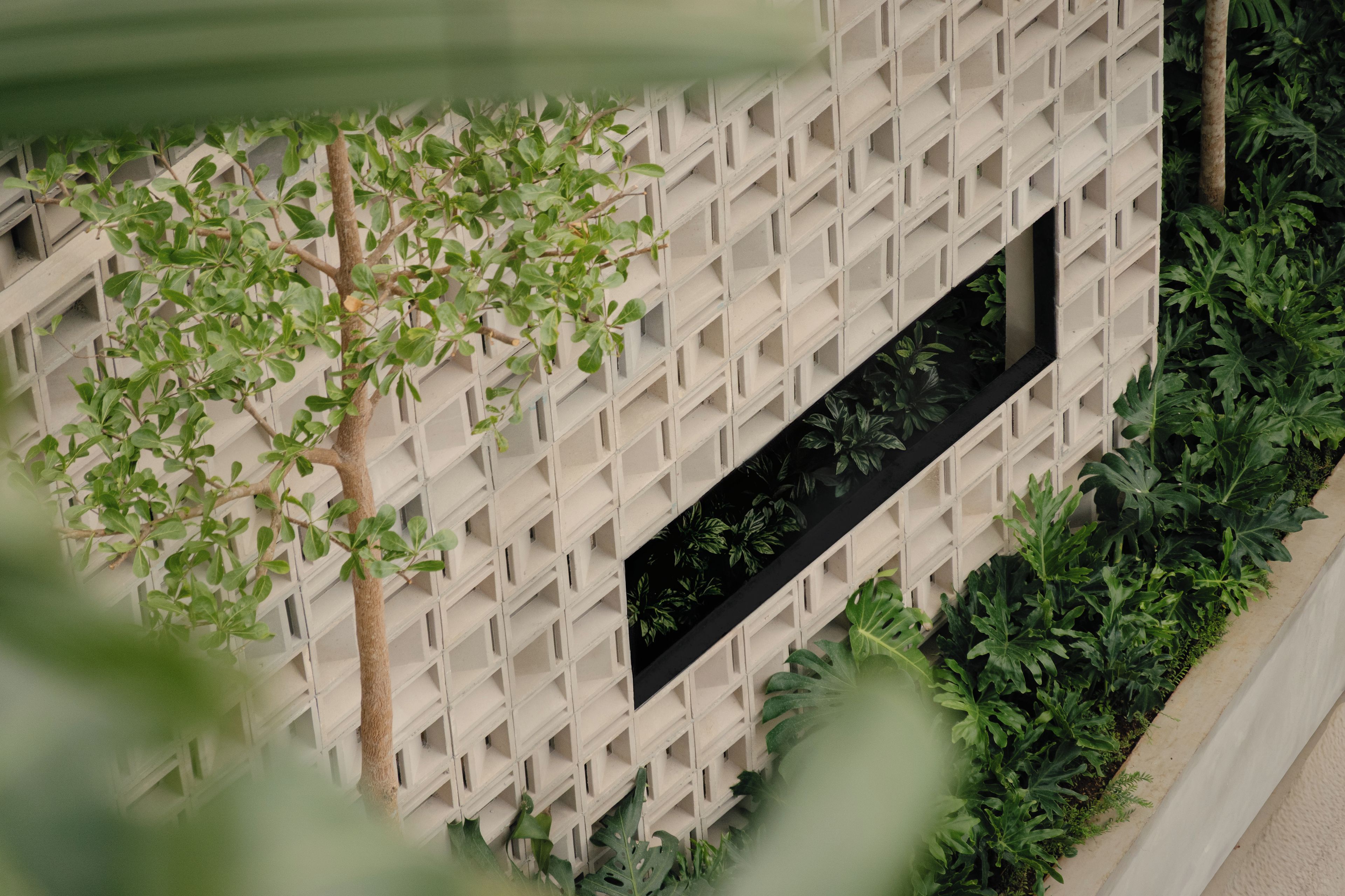 Un edificio con fachada enrejada, una ventana de marco negro y vegetación circundante.