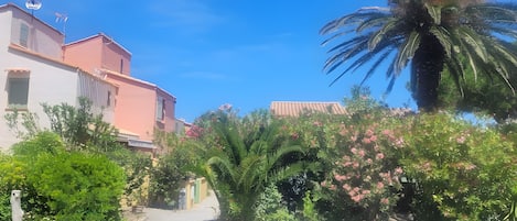A pathway flanked by lush greenery and a palm tree, leading to a building with a pink facade.