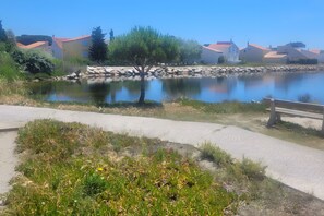 A tranquil lakeside setting with a paved walkway, a bench, and a row of houses in the background.