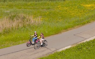 Due persone su un vialetto lastricato, fiancheggiato da erba e fiori gialli.