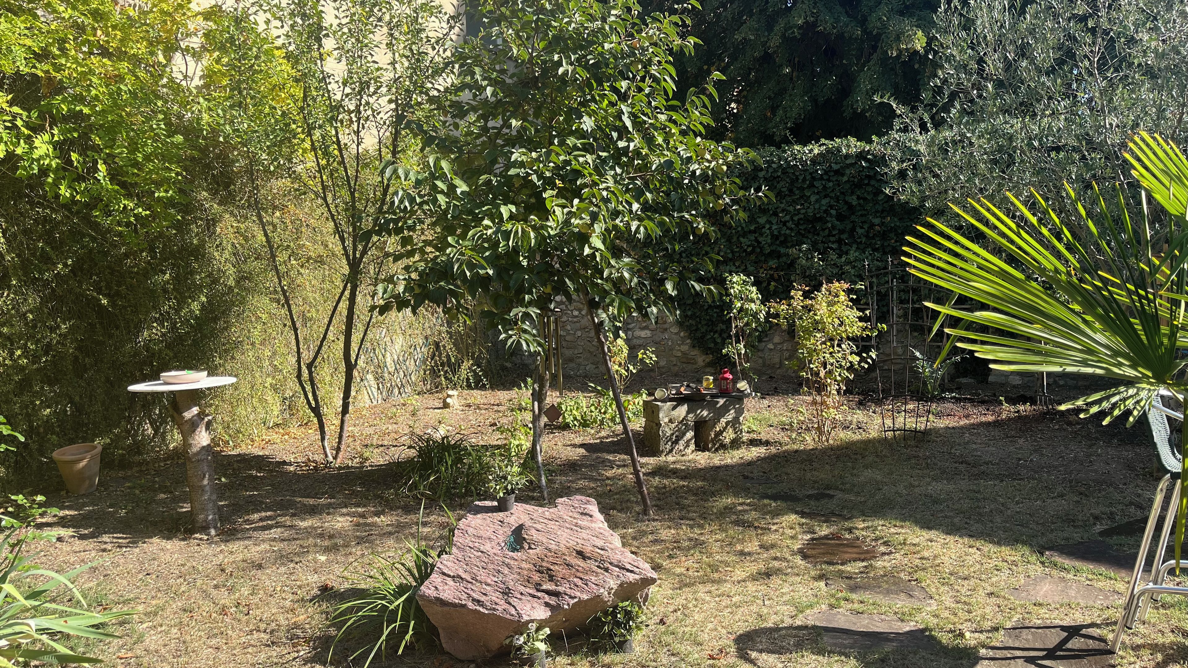 A garden with a variety of plants, a stone wall, and a small table with a bowl.