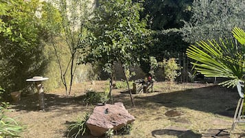 A garden with a variety of plants, a stone wall, and a small table with a bowl.