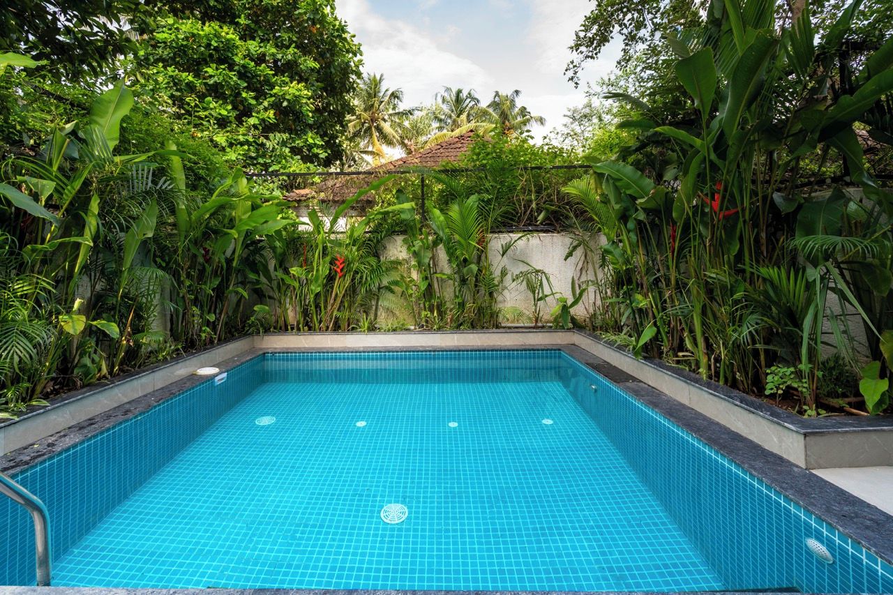 A rectangular swimming pool with blue tiles, surrounded by lush greenery and a stone wall.
