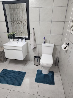 A bathroom with a white sink, mirror, toilet, and blue rugs. - Room-i am a Dedicate, Reliable and Hardw (Matjhabeng)