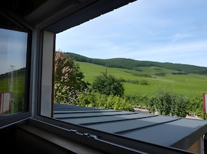 Vista des d'una finestra amb teulada metàl·lica, sobre un paisatge verd amb turons i arbres.