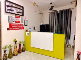 A hotel reception desk with a yellow counter, a white towel, and several vases with plants. There are signs on the wall, including one about alcohol not being allowed in the room.