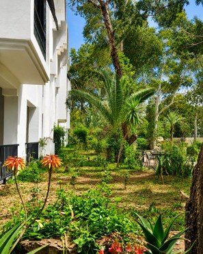 A courtyard with a white building, palm trees, and various plants.