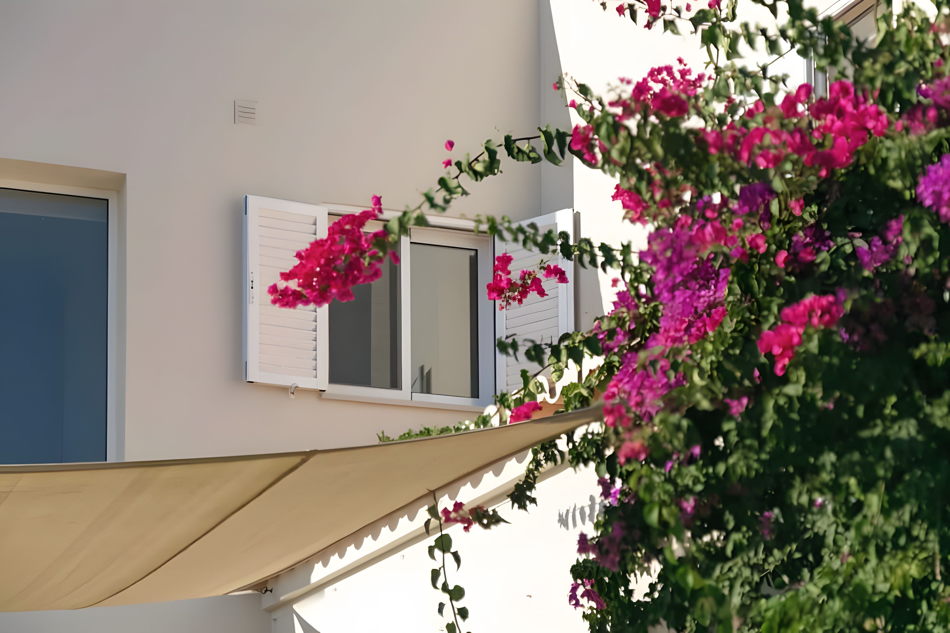 Une façade d’immeuble avec une fenêtre et une porte, partiellement masquée par une plante aux fleurs roses.