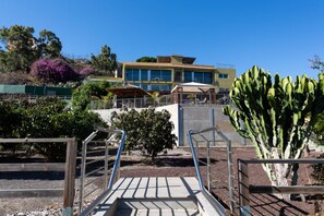 Un edificio con una escalera que conduce a un balcón, rodeado de cactus y un pequeño árbol.