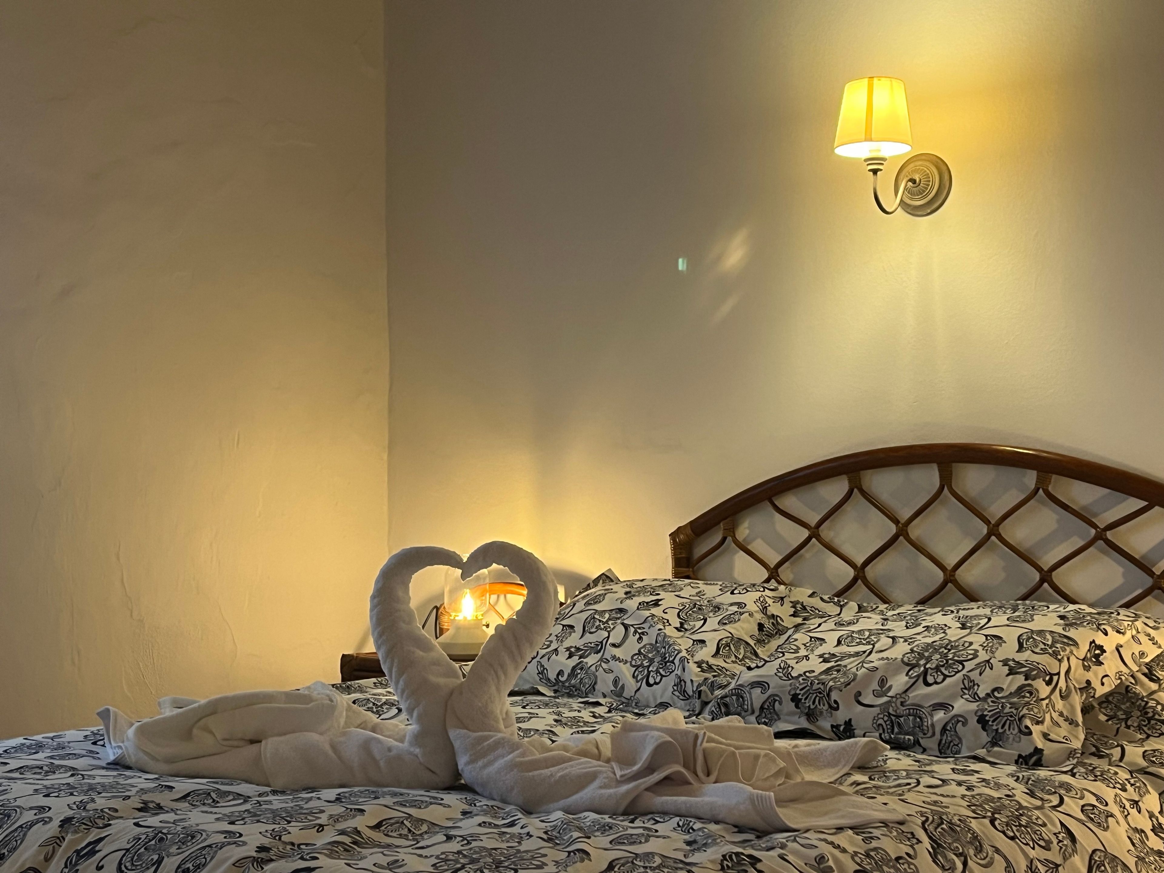 Une chambre d’hôtel avec un lit, une lampe fixée au mur et une décoration en forme de cygne réalisée avec des serviettes.